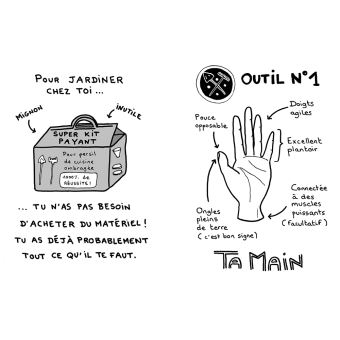 Comment avoir des plantes gratuites chez soi ?