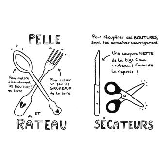 Comment avoir des plantes gratuites chez soi ?