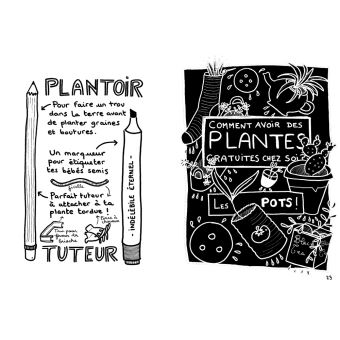 Comment avoir des plantes gratuites chez soi ?