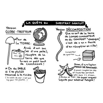 Comment avoir des plantes gratuites chez soi ?