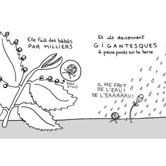 Comment avoir des plantes gratuites chez soi ?