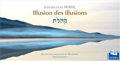 Illusion des illusions