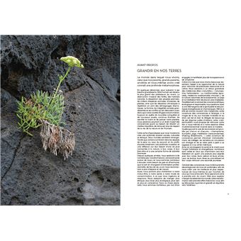 Reliance. Eveil de conscience, Alchimie spirituelle, Sagesse végétale