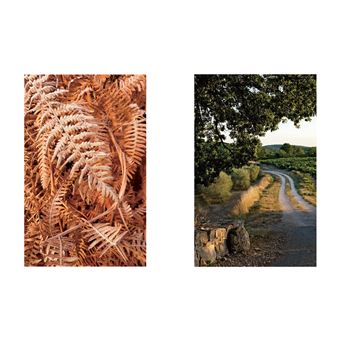 Reliance. Eveil de conscience, Alchimie spirituelle, Sagesse végétale