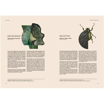 Reliance. Eveil de conscience, Alchimie spirituelle, Sagesse végétale