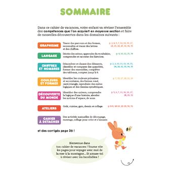 Les incollables - Cahier de vacances - De la MS à la GS - 4-5 ans