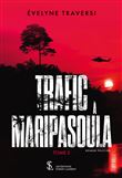 Trafic à Maripasoula