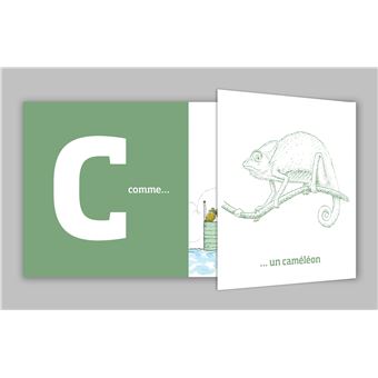 Un ananas dans un bateau