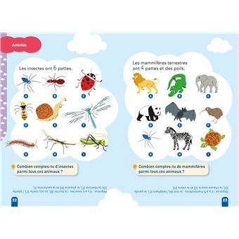 Kim et Tom Maths 1 Début de CP - La sortie au zoo de Kim et Tom