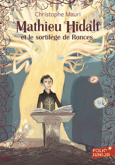 Mathieu Hidalf, 3 : Mathieu Hidalf et le sortilège de Ronces