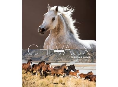 Christiane Slawik, à la rencontre des chevaux