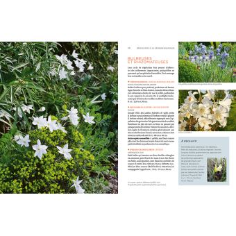 Toutes les plantes supportant la sécheresse