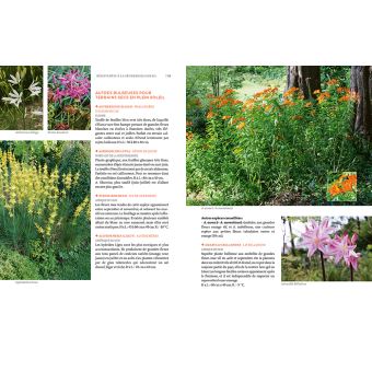 Toutes les plantes supportant la sécheresse