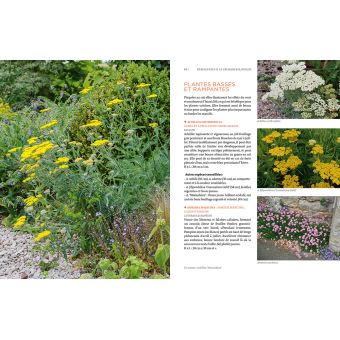 Toutes les plantes supportant la sécheresse