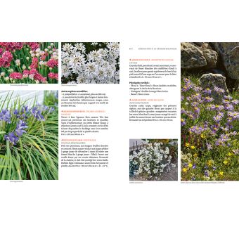 Toutes les plantes supportant la sécheresse