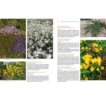 Toutes les plantes supportant la sécheresse