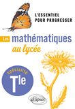 Les mathématiques au lycée - Spécialité Terminale