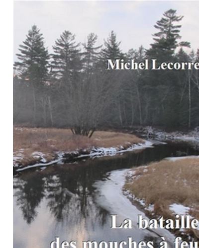 La bataille des mouches à feu
