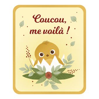 Mes cartes étapes (0-3 ans)