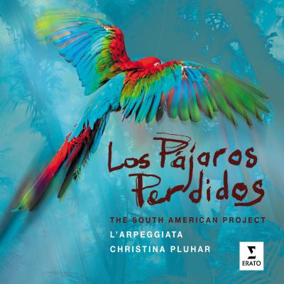 Los pajaros perdidos