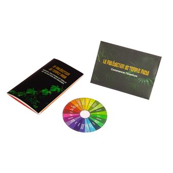 Escape game : La Malédiction du temple maya