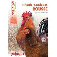 La poule pondeuse rousse
