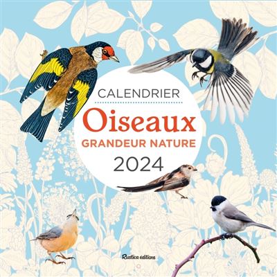 Calendrier mural Oiseaux grandeur nature 2024 - broché - Guilhem