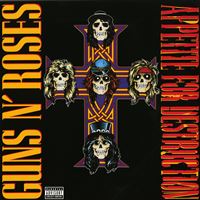 Appetite For Destruction