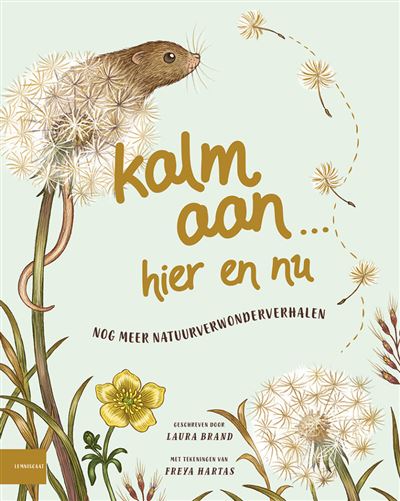 Kalm aan… Hier en nu
