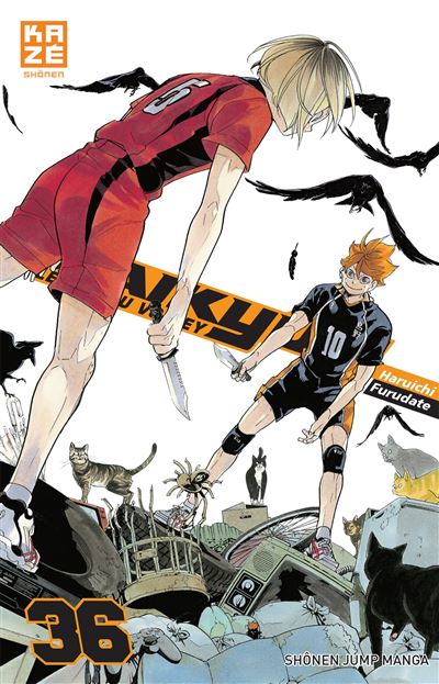 Haikyu - Haruichi Furudate - broché