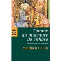 Methode Moderne De Cithare Broche L Laurent Achat Livre Fnac