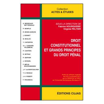 Droit constitutionnel et grands principes du droit pénal - 1