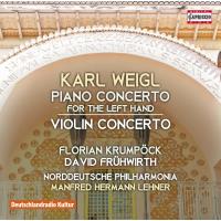 Concerto pour piano Main gauche en MI bémol majeur Violin concerto