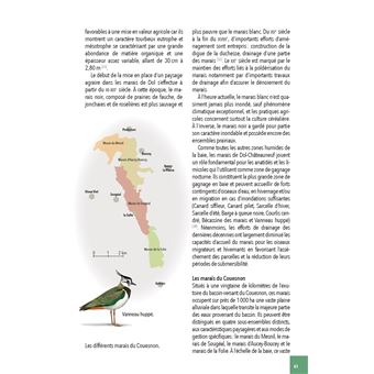 Faune & flore de la Baie du Mont Saint-Michel