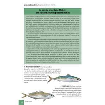 Faune & flore de la Baie du Mont Saint-Michel