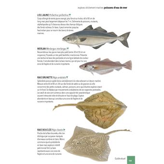 Faune & flore de la Baie du Mont Saint-Michel