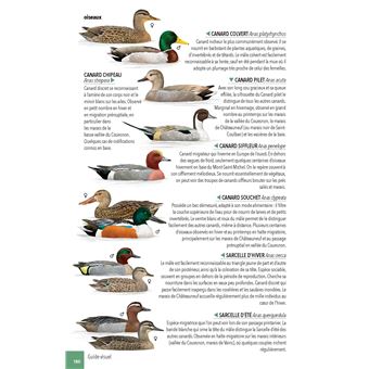 Faune & flore de la Baie du Mont Saint-Michel