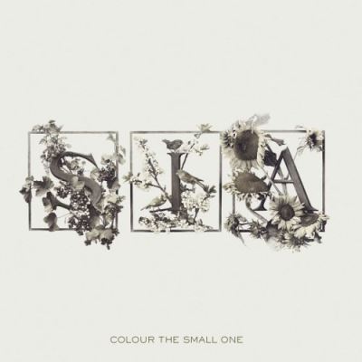 Colour the small one