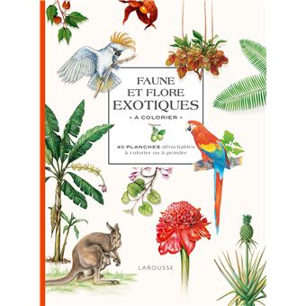 Faune et flore exotiques à colorier