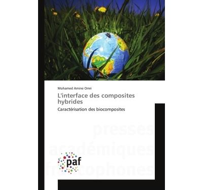 L'interface des composites hybrides - caracterisation des bi