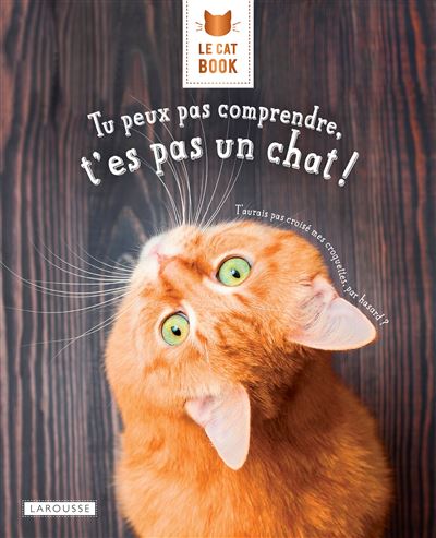 Le Cat Book Tu Peux Pas Comprendre T Es Pas Un Chat Cartonne Aurelie Lemoine Alice Zabee Aurelie Lemoine Achat Livre Ou Ebook Fnac