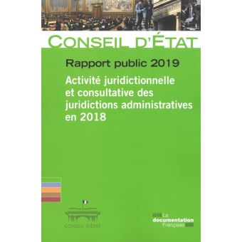 Rapport public 2019