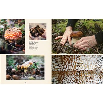 Wildside - La vie rêvée des chasseurs cueilleurs