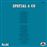 Spatial & Co (Limited Edition) - Vinilo