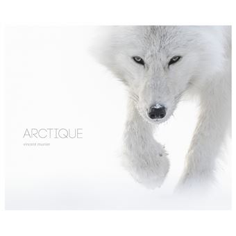 Résultats de recherche d'images pour « Arctique »