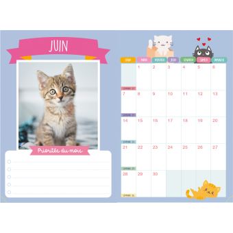 Mon agenda scolaire Chats 2020-2021