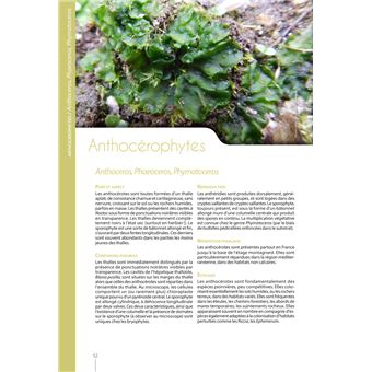 Mousses et Hépatiques de France - 3ème édition