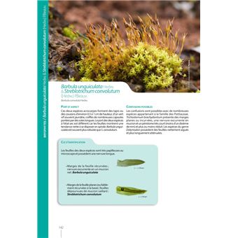 Mousses et Hépatiques de France - 3ème édition