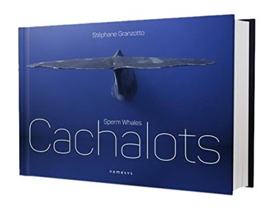 Cachalots