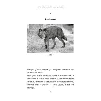 Notre petite maison dans la prairie